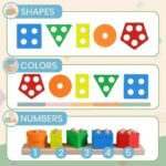 Five Colors and Five Shapes Sorter - Image 5